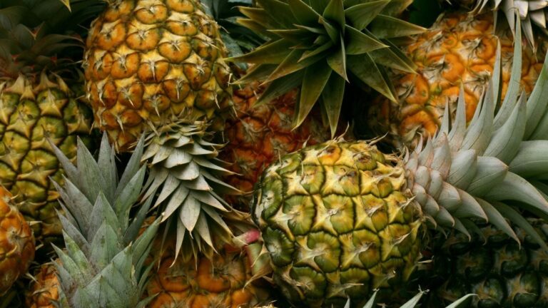 Pineapple Benefits: Abundant Vitamin C & More From This Tropical Treat