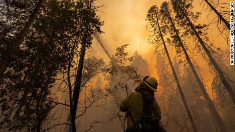 California's Oak Fire has expanded rapidly as it scorches more than 16,000 acres near Yosemite National Park