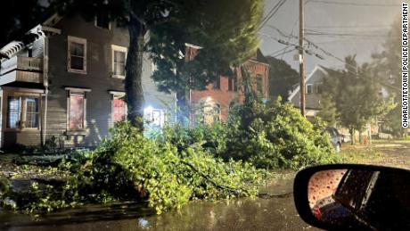 A fallen tree is seen on a road as Fiona reaches Prince Edward Island on Saturday. 
